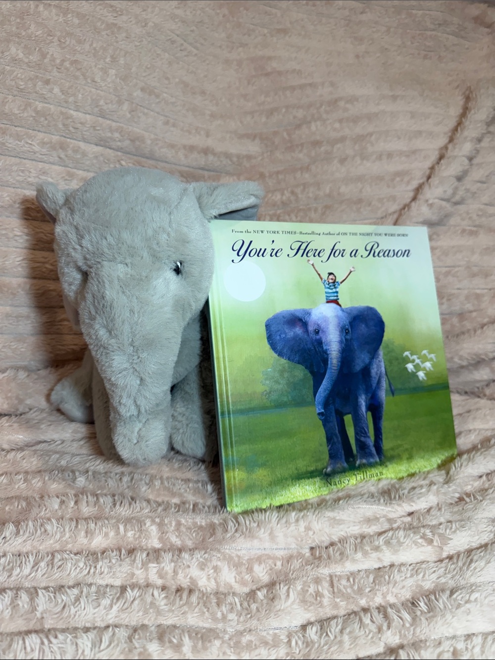 You’re Here for a Reason hardcover book along with plush